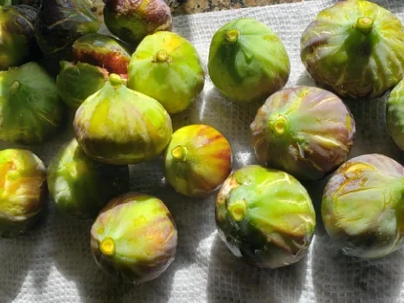 Smith Fig Fruits (Cre_ Reddit)