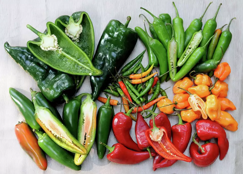 Some kinds of hot peppers