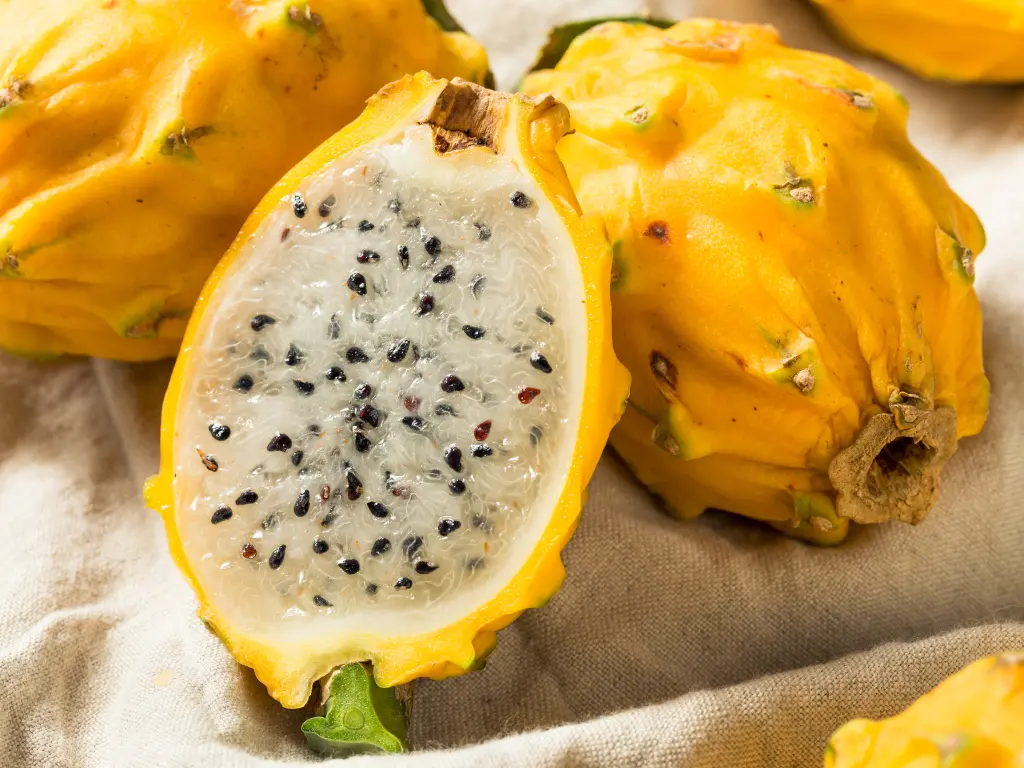 Fresh Yellow Dragon Fruit with its bright yellow skin and white flesh speckled with tiny black seeds