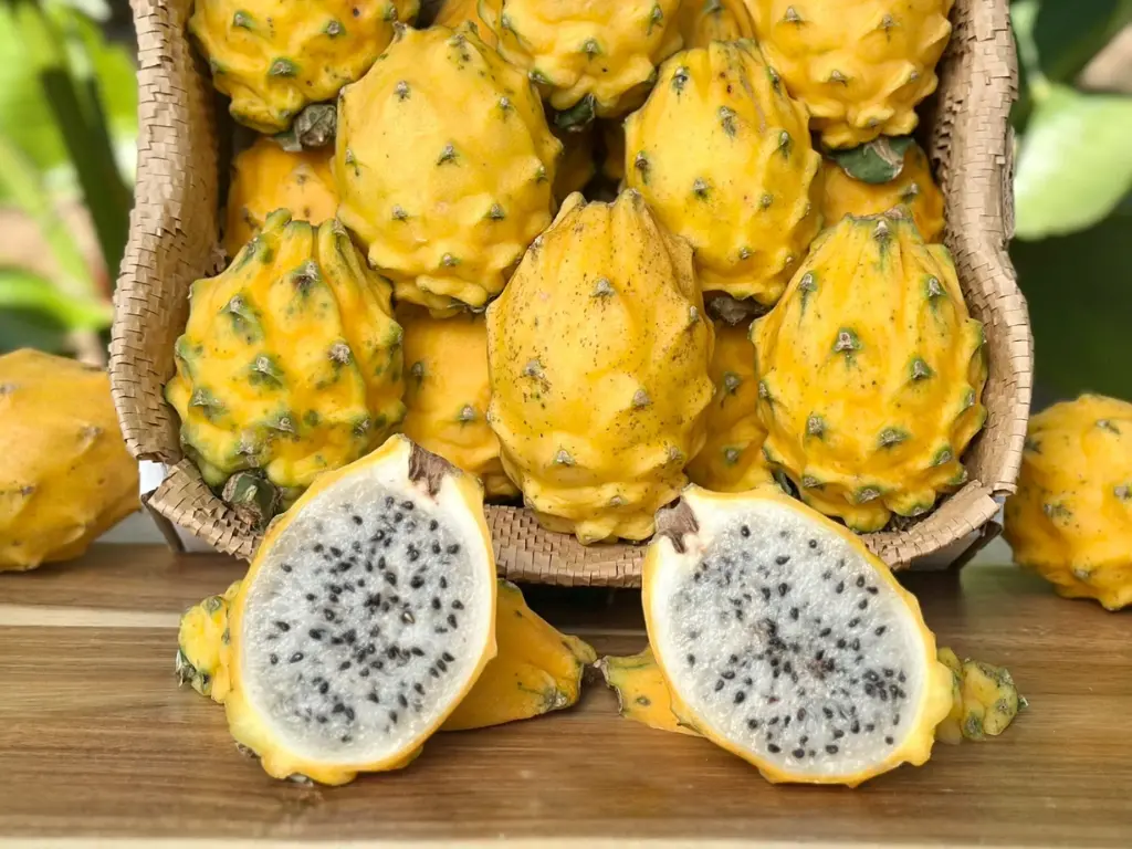 Yellow Dragon Fruits