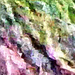 10 Beauregard Sweet Potato Plants / Slips - Organic Vegetable Garden - Image 2