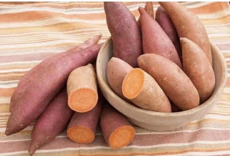 10 Beauregard Sweet Potato Plants / Slips - Organic Vegetable Garden - Image 5