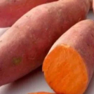 10 Beauregard Sweet Potato Slips - Organic Edible Plant Cuttings for Growing - Image 1