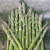10 Mary Washington Asparagus Bare Roots - Heirloom Vegetable Plant for Garden - Image 1