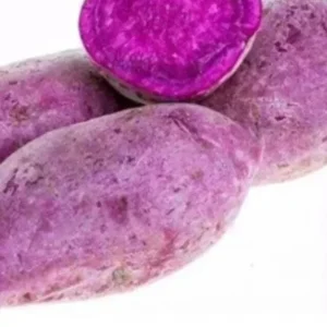 10 Molokai Purple Sweet Potato Slips - Organic Living Plants for Edible Garden - Image 4