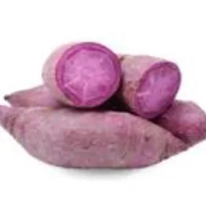 10 Molokai Purple Sweet Potato Slips - Organic Plant Cuttings for Growing - Image 2