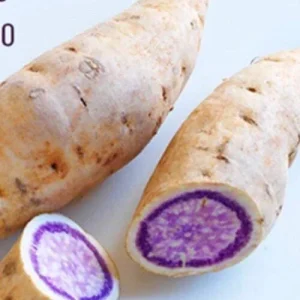 10 Okinawa Purple Sweet Potato Slips - Organic Plant Cuttings - Khoai Lang - Image 8