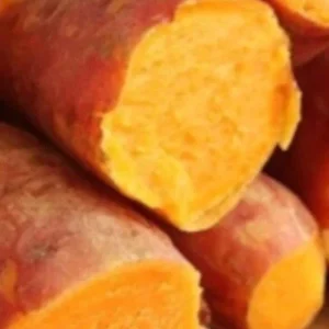 10 Orange Sweet Potato Slips - Copper Jewel Variety Cuttings - 90 Days to Harvest - Image 5