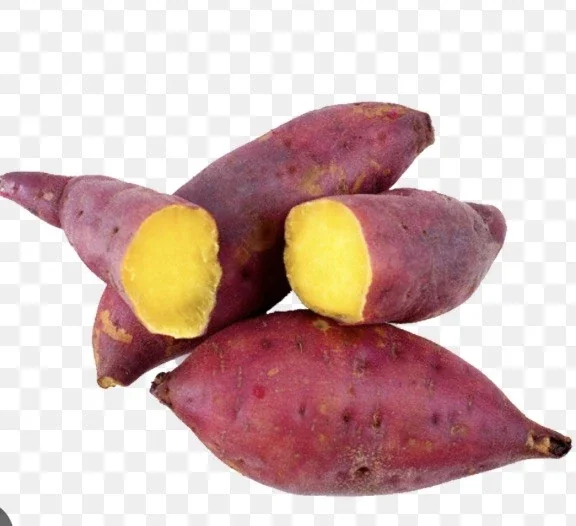 10 Organic Red Japanese Sweet Potato Cuttings - Ready to Plant Slips for Gardening - Image 2