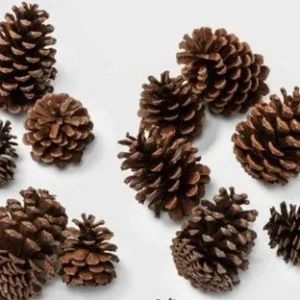 10 Pine Cones for Crafting & Decorating - Natural & Rustic - Image 2
