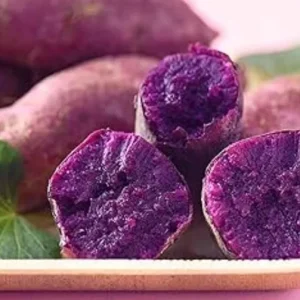 10 Purple Molokai Sweet Potato Slips - Live Plant Cuttings - Well Rooted - Image 3