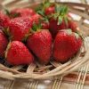 10 Quinault Everbearing Strawberry Plants - Bare Root Live Plants, Zones 4-8 - Image 1