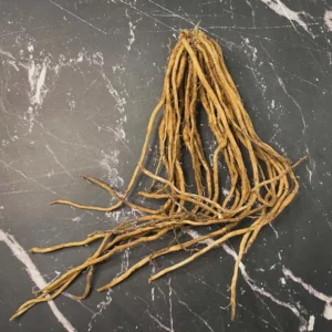 10 Viking KB3 Asparagus Bare Roots - Hardy Heirloom Asparagus officinalis - USDA Zones 3-9 - Image 4