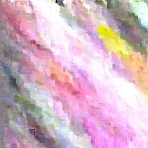 10 White Sweet Potato Slips - Asian Khoai Cuttings for Growing Edible Plants - Image 6