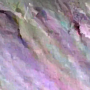 10 White Sweet Potato Slips - Asian Sweet Potato Cuttings for Planting - Image 5