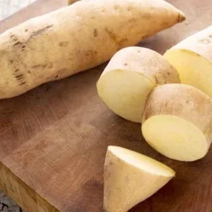 10 White Sweet Potato Slips – Live Plant – Well Rooted Sweet Potato Vine - Image 2