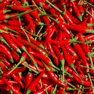 100 Heirloom Thai Chili Hot Pepper Seeds - Non-GMO, Fresh, Spicy, Outdoor - Image 1