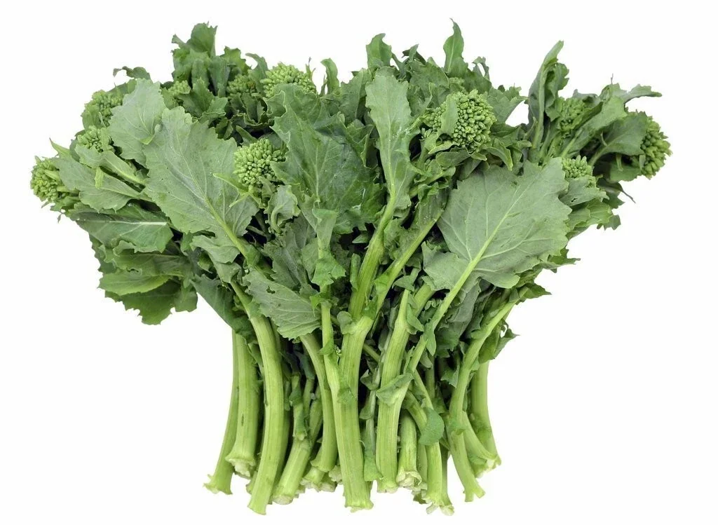 1000+ Organic Broccoli Raab Rapini Seeds - Microgreens & Sprouting for Garden - Image 1