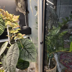 12 Pack Grow Light Corner Clips for IKEA Milsbo Cabinet – T8 LED Mounting Brackets - Image 2