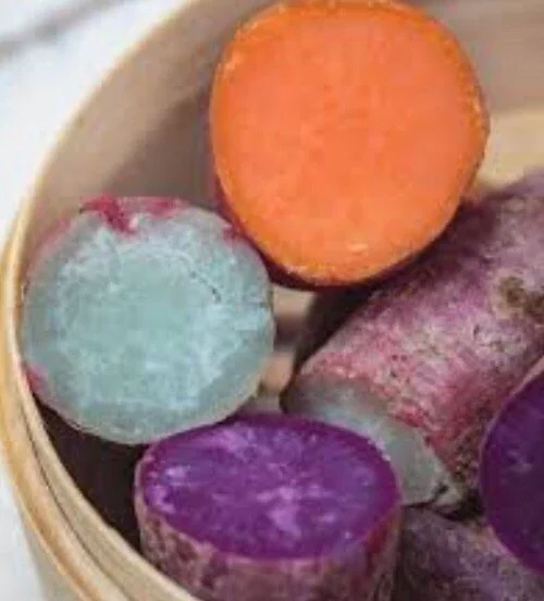 15 Sweet Potato Slips - Red Skin White, Murasaki, Purple Variety Cuttings for Planting - Image 1