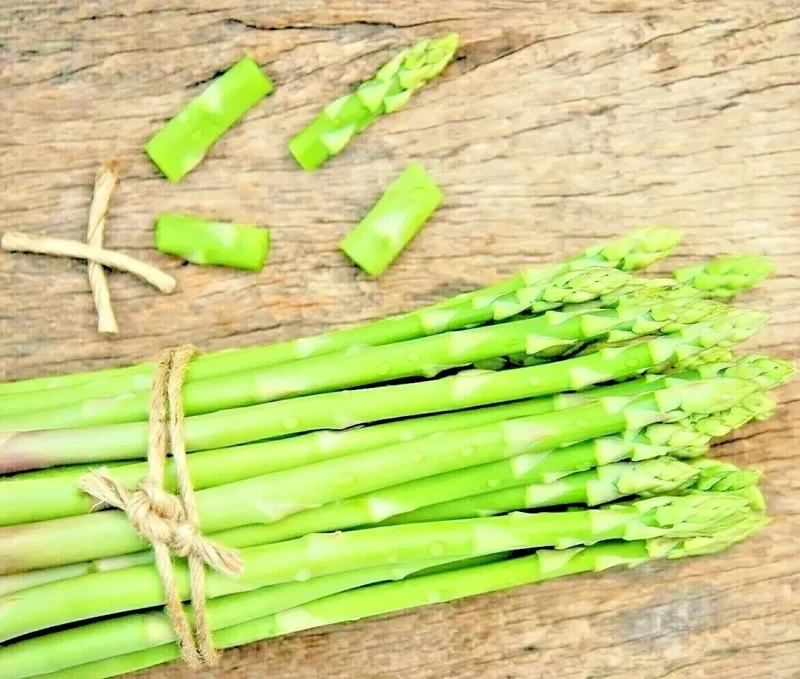 150+ Asparagus Seeds - Perennial Heirloom Vegetable Seeds - Non-GMO Outdoor Garden - Image 2