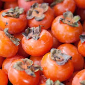 20 American Persimmon Tree Seeds - Diospyros Virginiana Organic Heirloom Fruit for Planting - Image 9
