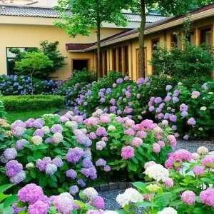20 Hydrangea Flower Seeds - Exotic Ball Bloom Perennial Plant for Gardens - Image 2