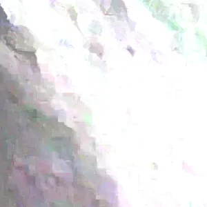 20 Longan Seeds - Sweet Dragon Eye Fruit Seeds for Tropical Climate Gardening - Image 5