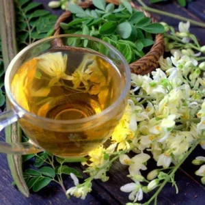 20 Moringa Seeds - Drumstick Tree Seeds, Easy Grow Edible Leaf - Image 5