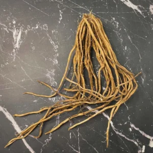 20 Viking KB3 Asparagus Bare Roots - Hardy Heirloom Vegetable Plant - Image 7