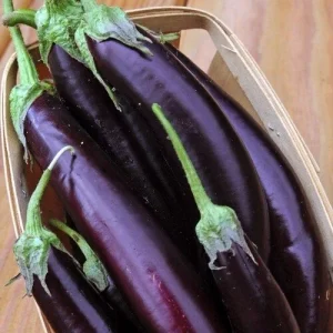 200+ Chinese Long Purple Eggplant Seeds - Asian Aubergine Vegetable Seed Pack - Image 3