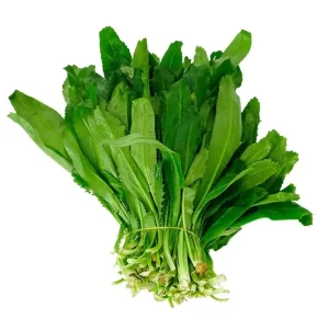 200+ Cilantro Coriander Culantro Ngò Gai Seeds - Non-GMO Herb Seeds for Indoor/Outdoor Planting - Image 1