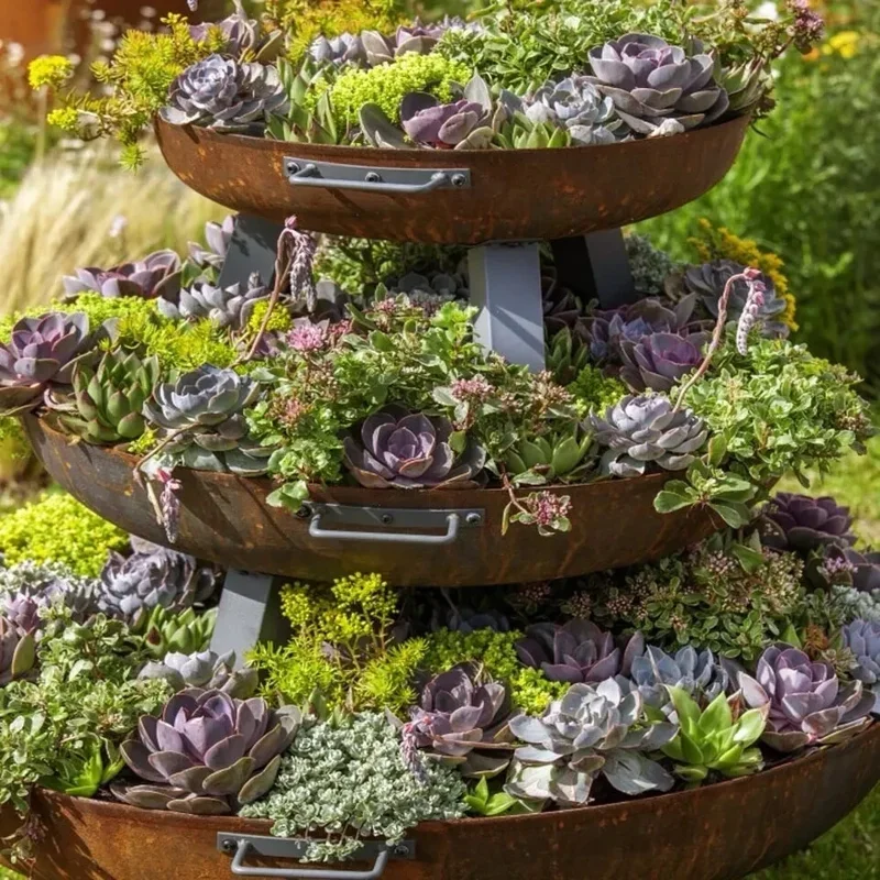 25+ Mixed Cactus & Succulent Seeds - Easy Grow Perennial Desert Garden - Image 1