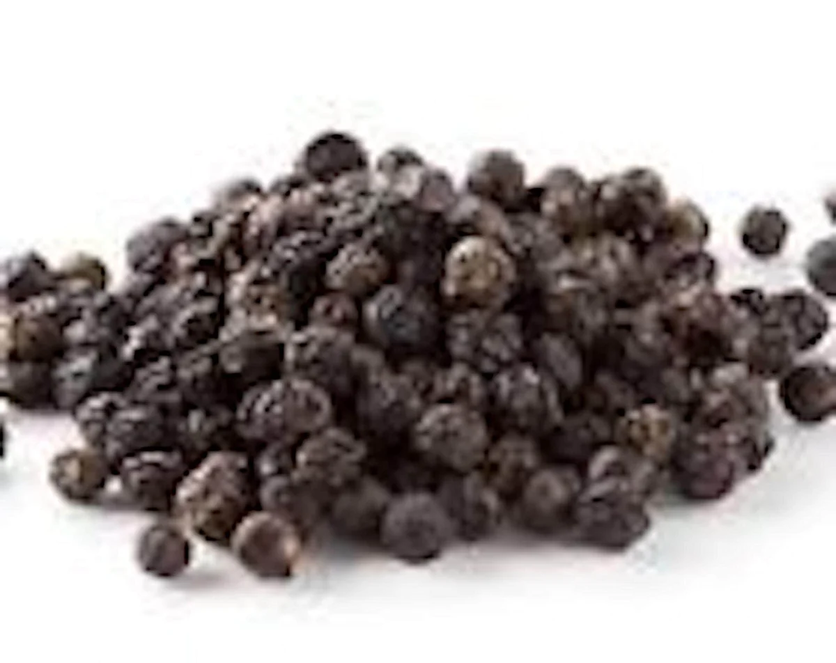 3 Black Pepper Plant Piper Nigrum Live Starter Plants - Perennial Edible - Image 5