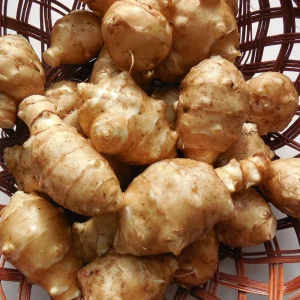 3+ Lbs Jerusalem Artichoke Tubers Sunchokes - Helianthus tuberosus for Planting or Eating - Image 1