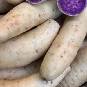 3 Okinawa Purple Sweet Potato Live Plants - Organic Edible Vegetable Slips - Image 2