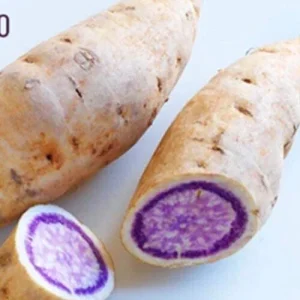 3 Okinawa Purple Sweet Potato Live Plants - Organic Edible Vegetable Slips - Image 3
