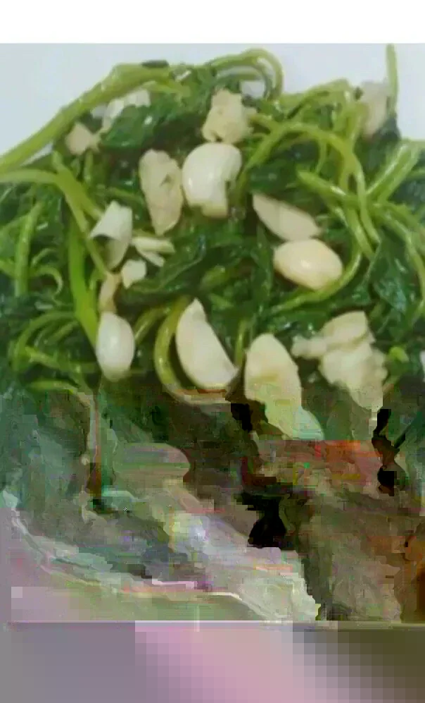 3 Okinawa Purple Sweet Potato Plants - Organic Slips for Planting, Full Sun - Image 8