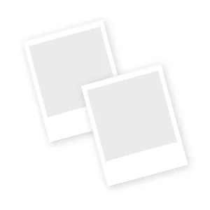 3 Pack 5 Inch Net Pots with New Zealand Sphagnum Moss for Orchids & Carnivorous Plants - Image 2