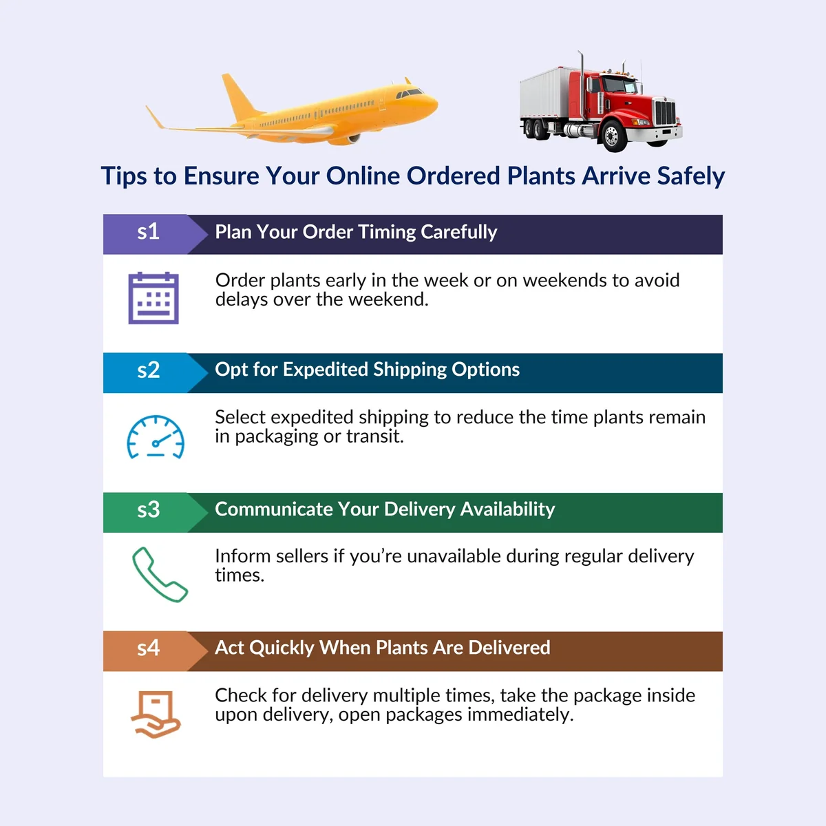 3-Pack African Violet Live Plants - Ruffled Blooming Flowers, 4-inch Pots - Image 6