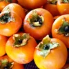 30 American Persimmon Tree Seeds - Organic Diospyros Virginiana Fruit - Image 1