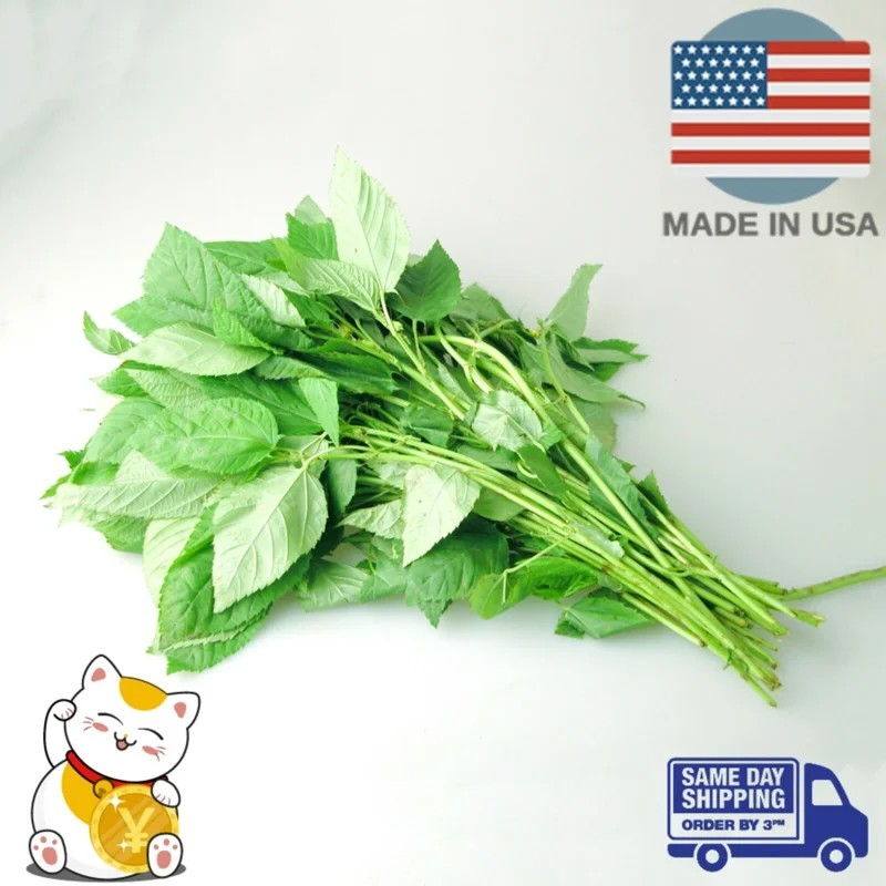 350+ Nalta Jute Seeds - Saluyot Molokhia Egyptian Spinach Rau Day - Vegetable Seeds - Image 2