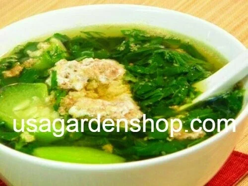 350+ Nalta Jute Seeds - Saluyot Molokhia Egyptian Spinach Rau Day - Vegetable Seeds - Image 3