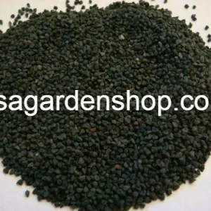 350+ Nalta Jute Seeds - Saluyot Molokhia Egyptian Spinach Rau Day - Vegetable Seeds - Image 4