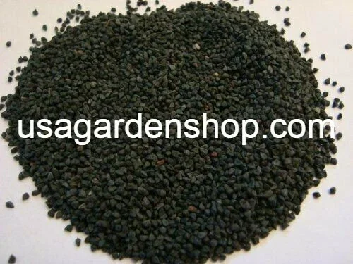 350+ Nalta Jute Seeds - Saluyot Molokhia Egyptian Spinach Rau Day - Vegetable Seeds - Image 4