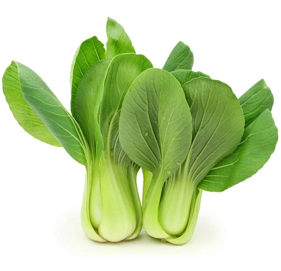 400+ Organic Shanghai Green Stem Bok Choy Seeds - Non-GMO Vegetable Seeds for Outdoor Gardening - Image 1