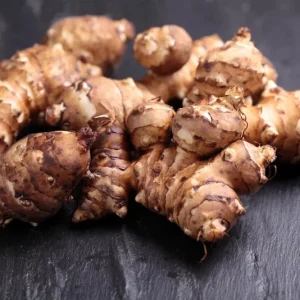 4OZ Jerusalem Artichoke Tubers Sunchokes – Edible Roots for Planting or Eating – Outdoor - Image 3