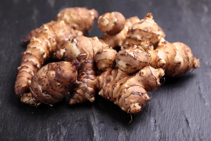 4OZ Jerusalem Artichoke Tubers Sunchokes – Edible Roots for Planting or Eating – Outdoor - Image 3