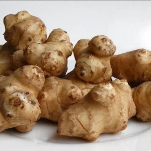 4oz Sunchoke Tubers for Planting - Helianthus tuberosus Bulbs Outdoor Garden - Image 3