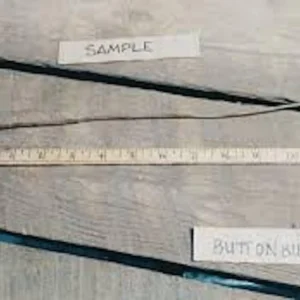 5 Buttonbush Plant 12-24in Tall Bare Root Shrub Cephalanthus occidentalis Outdoor - Image 2